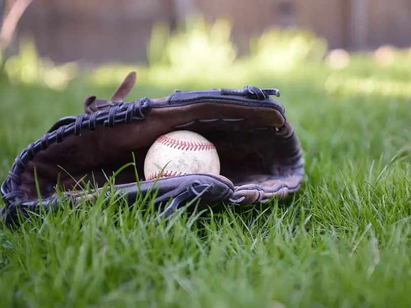 Baseball und Softball Dresden Dukes e.V. in Dresden