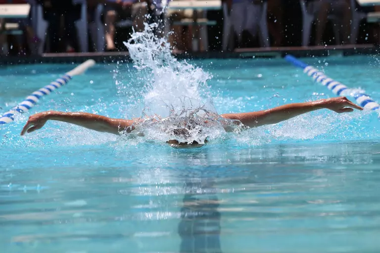 Schwimmsport oder Schwimmtraining im Verein in der Nähe