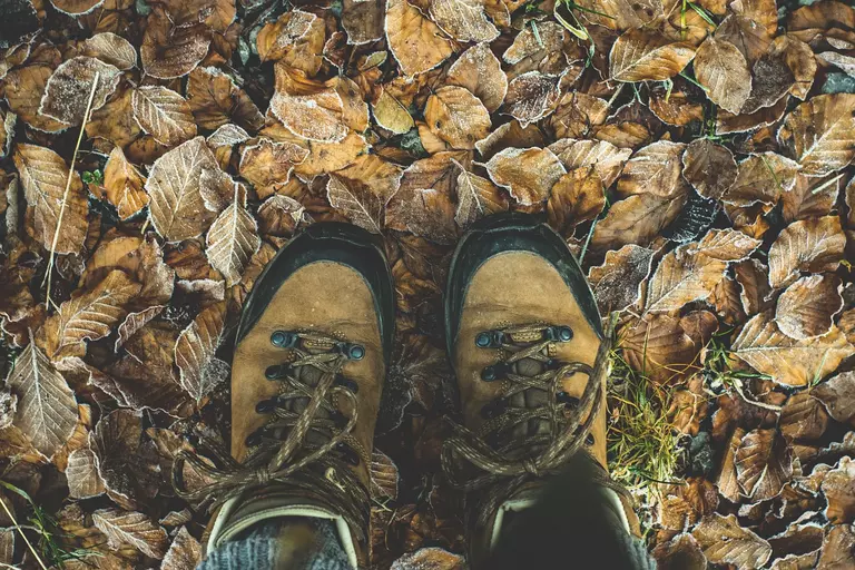 Wandern im Verein oder mit einer Wandergruppe in der Nähe 