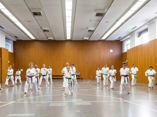 Karate Dojo Bietigheim e.V.