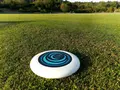 LUNA Ultimate Frisbee Ansbach in Ansbach