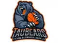 TauBears Basketball in Bad Mergentheim