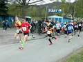 Harztor-Lauf e.V. in Harztor