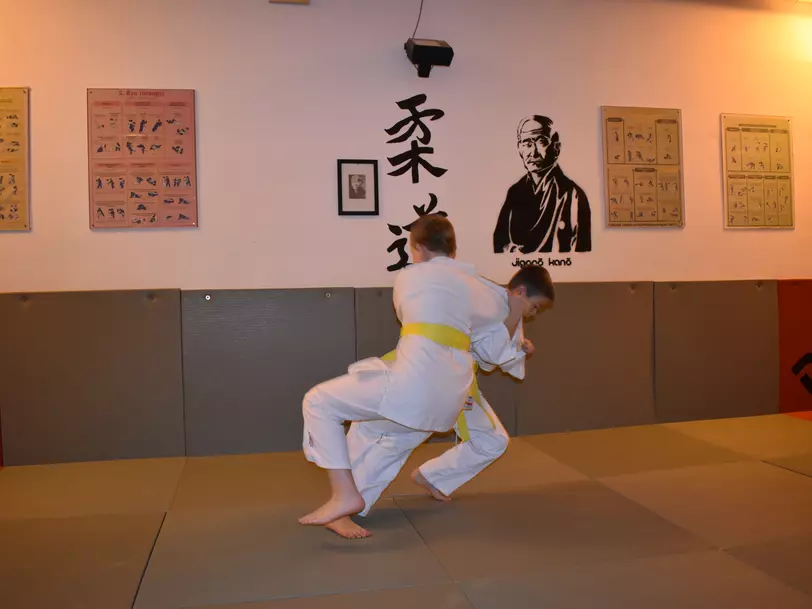 Judo und Freizeitverein - Die Mattenteufel - e.V.  in Erfurt