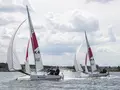 Segelsportclub Süßer See e.V. in Seegebiet Mansfelder Land